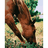 Картина за номерами Strateg ПРЕМІУМ Кінь у лузі розміром 40х50 см (DY108)