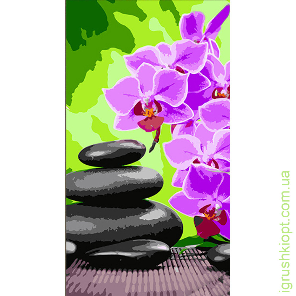 Картина за номерами Strateg Орхідеї та чорне каміння розміром 50х25 см (WW169)