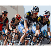 Картина за номерами Strateg ПРЕМІУМ Перегони велосипедистів розміром 40х50 см (GS283)