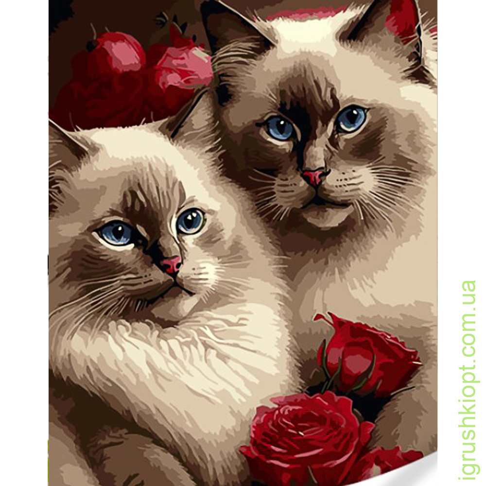 Картина за номерами Strateg ПРЕМІУМ Котики в трояндах з лаком та з рівнем розміром 40х50 (GS1618)