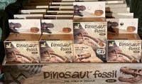 Архіолог-розкопки динозавра 1315