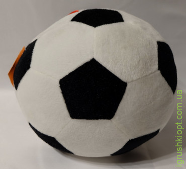 Футбольний мяч 0200 (d25 см) "Ніжин"