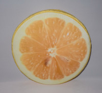 Подушка для стула лимон 0256 (d40 см) Анна